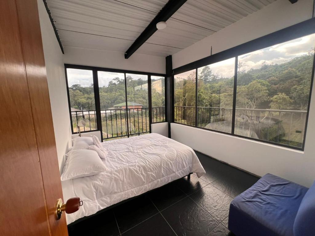 Ventana al bosque - 1