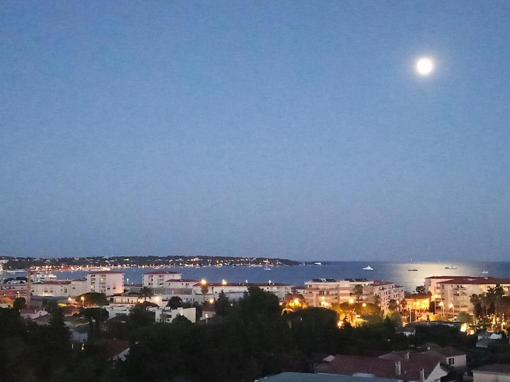 L'escale Azur - Apt 2 Prs - Vue Mer et Cap d'Antibes - 4