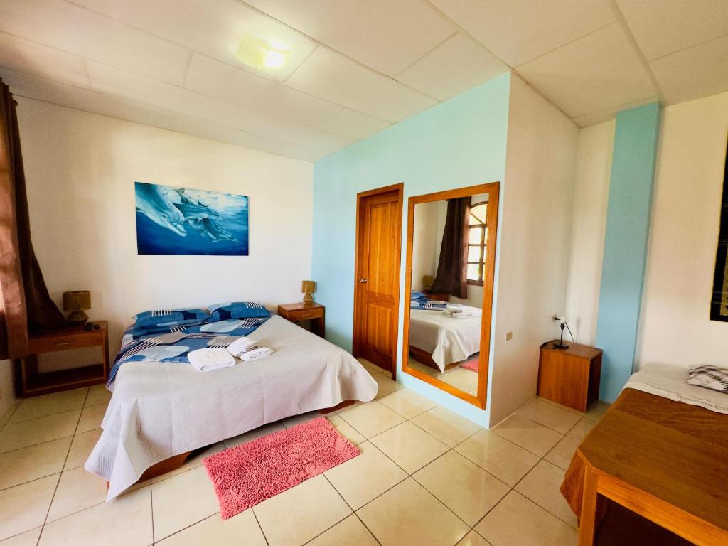 The Galapagos Pearl B&B - 4