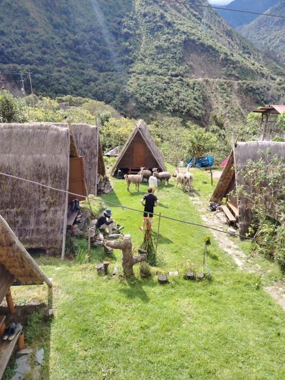 Hay & Mountain Huts - 4