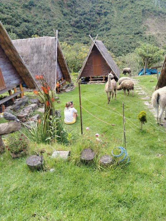 Hay & Mountain Huts - 5