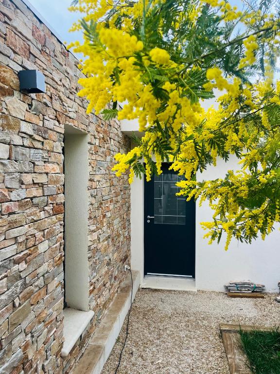 Appart Ethan PROCHE DU CENTRE AVEC PARKING ET JARDIN - 3