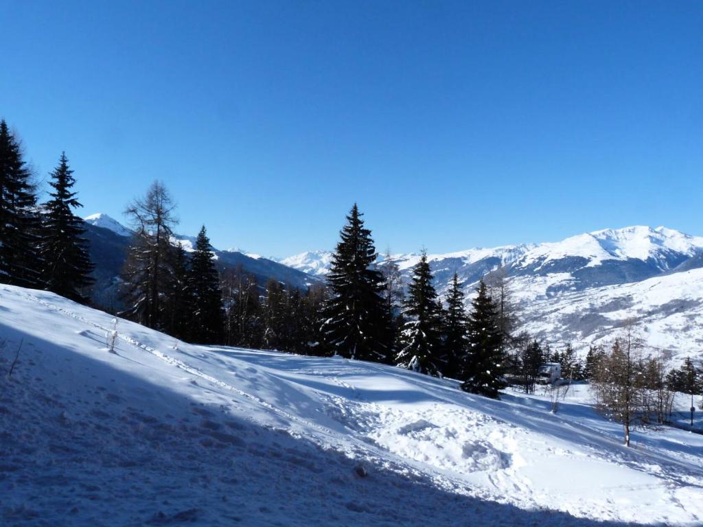 Résidence Armoise - Appartement de charme 2 pièces / 6 personnes à Arc 1800 en centre station, proche des pistes et des commerces, dans le village d MAE-1694 - 3