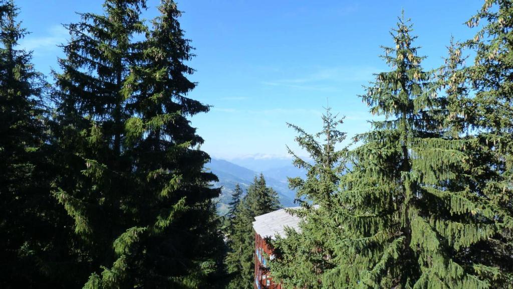 Résidence Archeboc - Très beau duplex entièrement rénové pour 4 personnes dans le village de Charmettoger, proche des pistes MAE-2116 - 3
