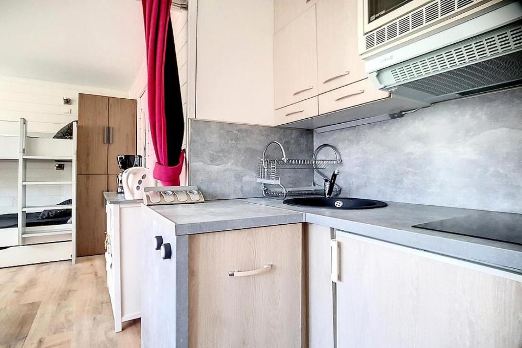 Résidence Les Lauzes - Appartement rénové · Départ et retour ski aux pieds · MAE-1444 - 5