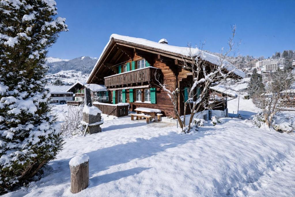 Cozy traditional Chalet, Stunning Mountain Views - 3