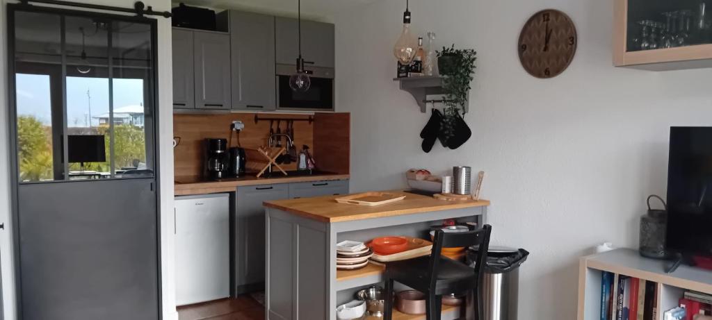 SUPERBE STUDIO FACE AU LAC DU BOURGET AVEC TERRASSE curistes ou couples - 5