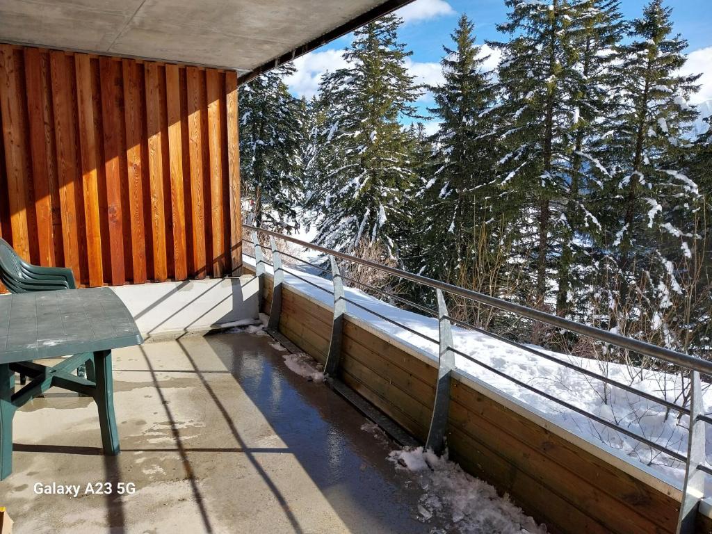 Appartement ECRIN DES NEIGES 1750 accès direct pistes - 3