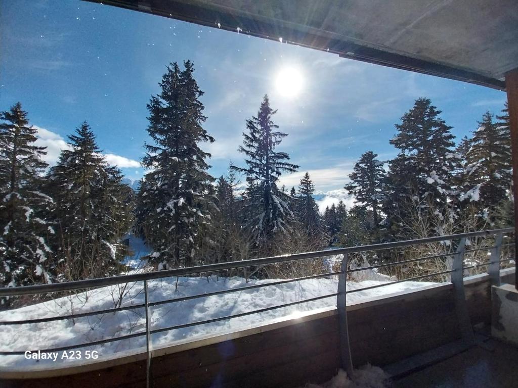 Appartement ECRIN DES NEIGES 1750 accès direct pistes - 1