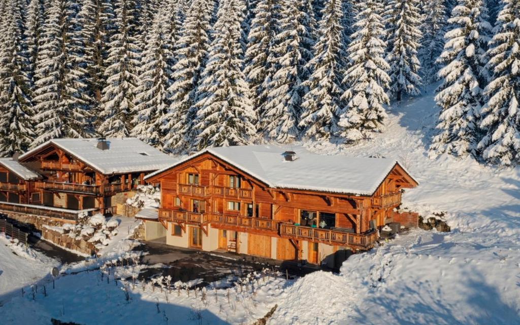 Chalet Arpitan - les Carroz - Grand Massif - 1