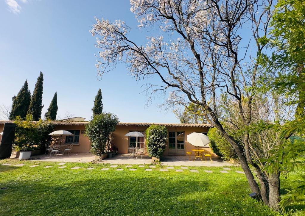 Mas la Provence - 5