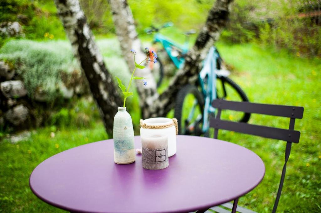 Les Bouvreuils, vue Alpes & Léman, jardin privé - 3
