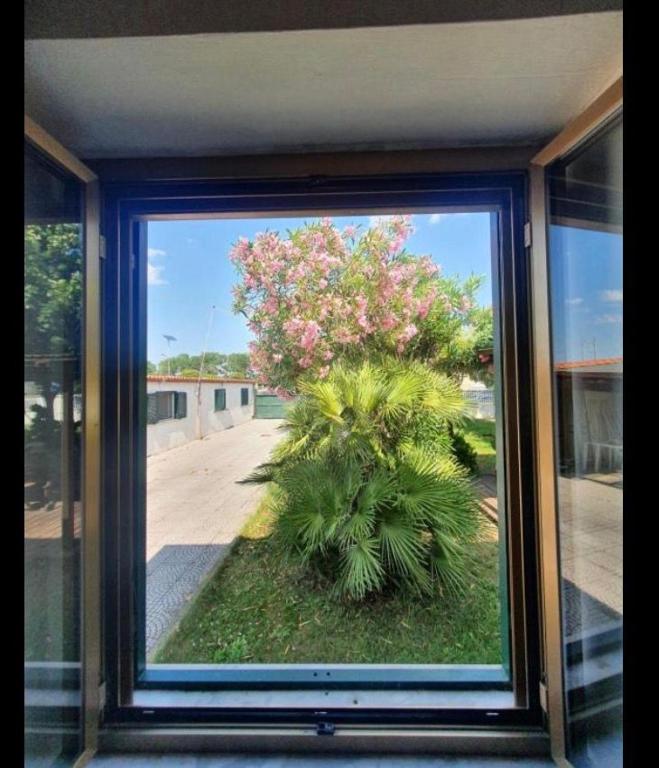Andrea's House - 3