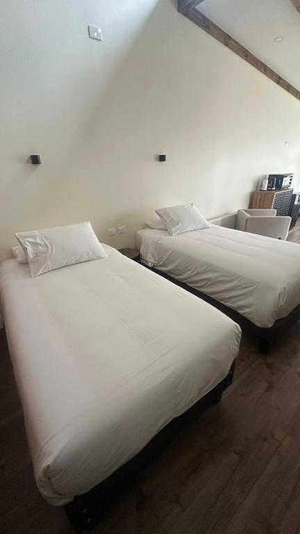 Ignea Loft - 3
