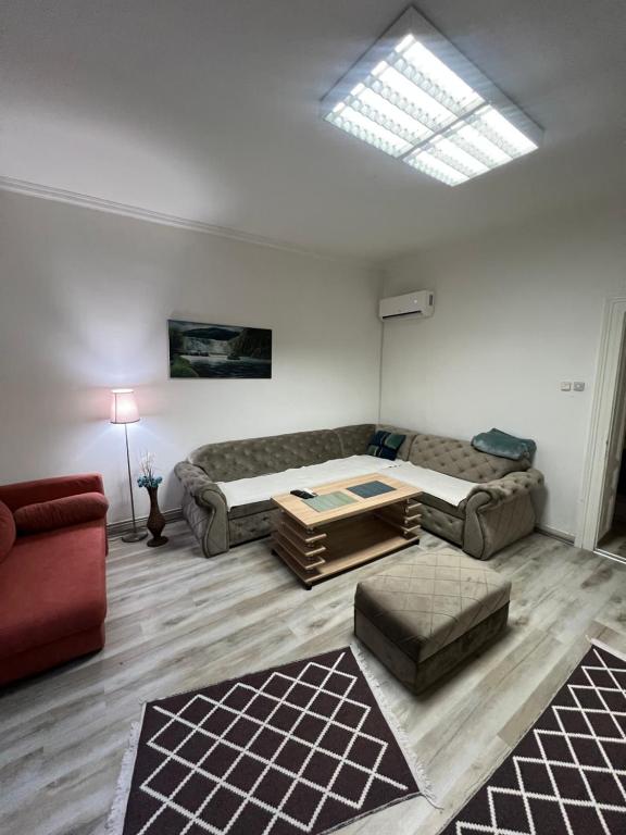 Zilbeari Center - 3