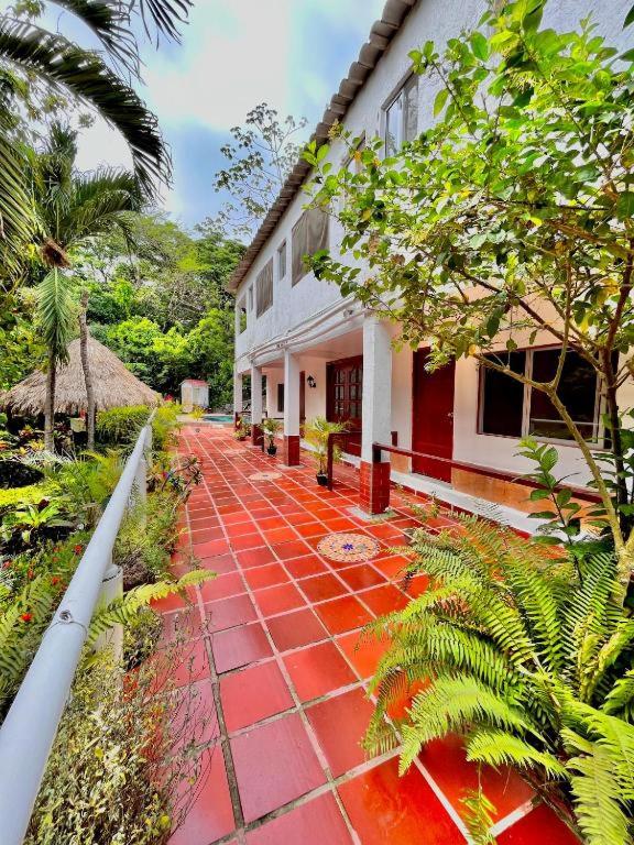 Manigua Tayrona Hostel - 4