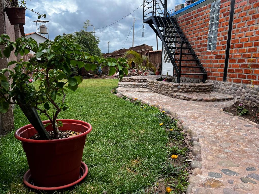 Casa raíz - 1