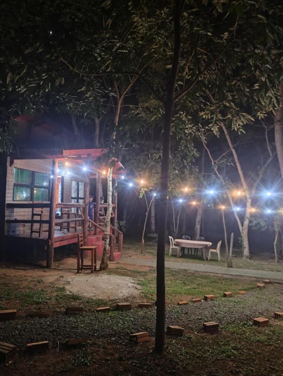 Cabaña la bella 2 - 5