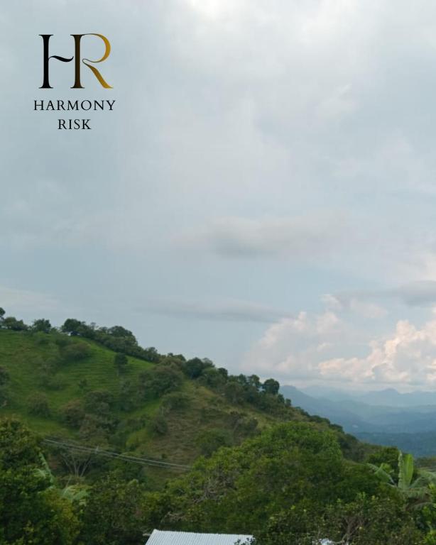 Harmony Risk - 2