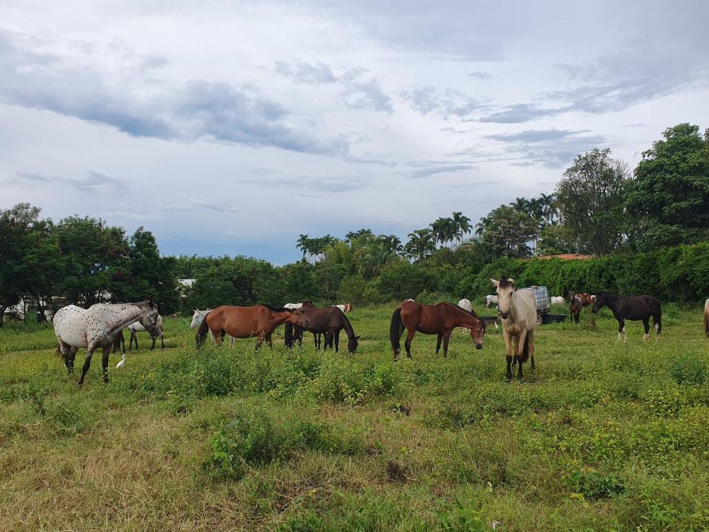 Luxury Villa in Cerritos ride horses nearby - 2