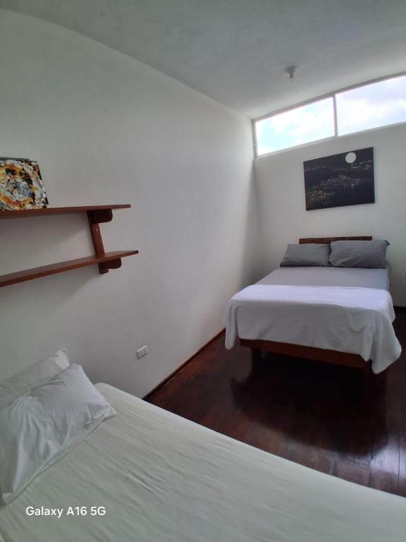 Pescadito - 5
