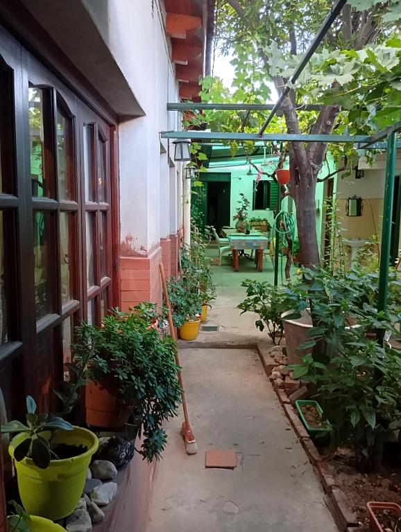 Hostal Mechita Mamani - 4