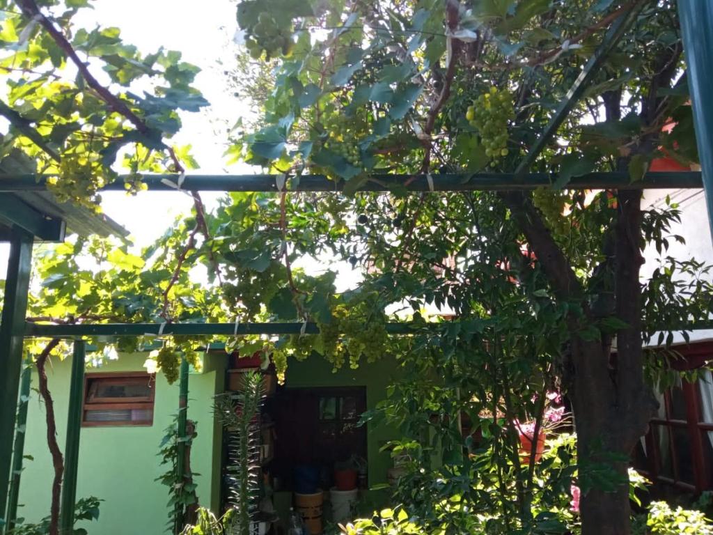 Hostal Mechita Mamani - 3