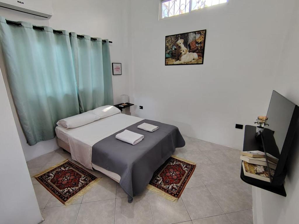 Galápagos Islands-Apartment in Santa Cruz - 1
