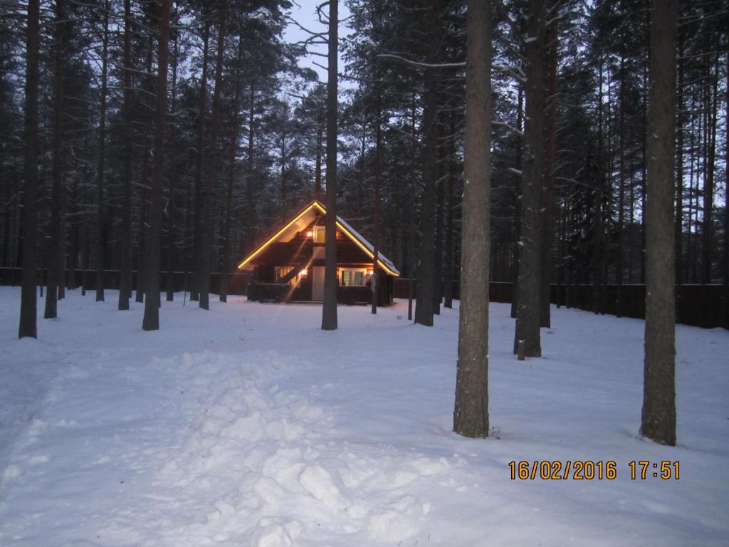 Guest House On Syamozero In Karelia Alekka - photo 1