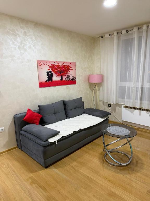 Badi's apartment - 1
