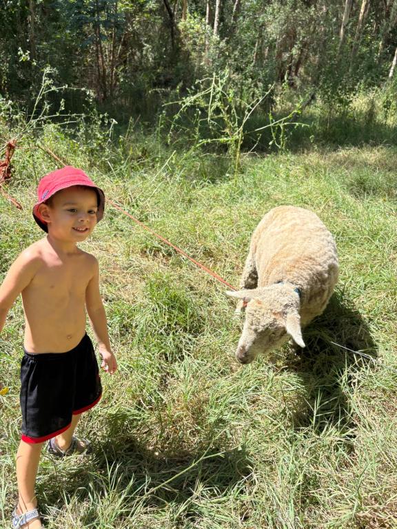 Viento Potro Casa Quinta de Campo - 4