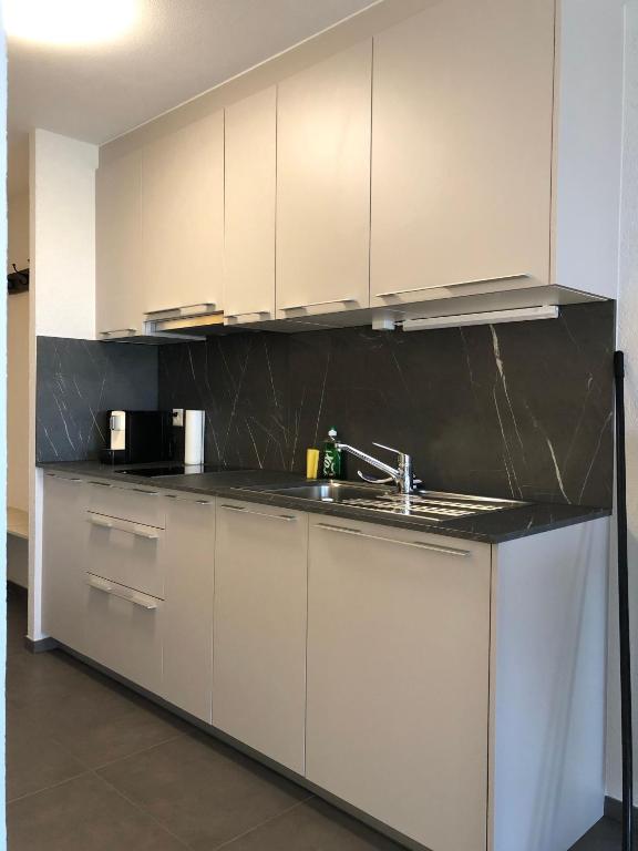 Amazing Studio In Lausanne Close To Epfl and Unil - 5