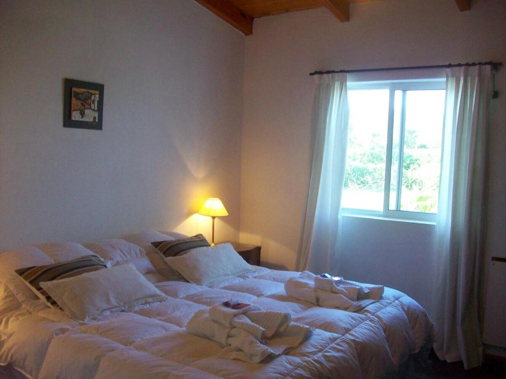 La Vertiente Farm Country House in Salta - 4
