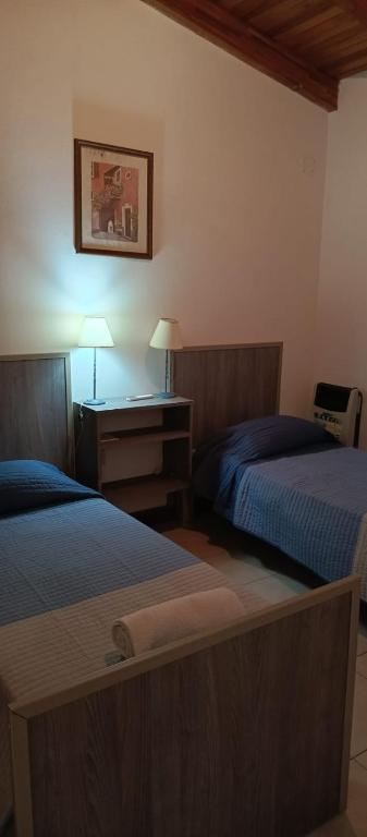 Hermoso triplex concordia - 3