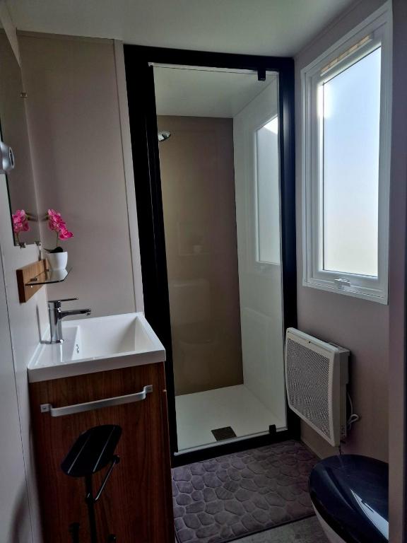 Mobil-Home Le Premium-MH34 - 4