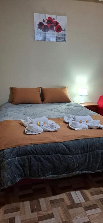 Hospedaje Diamante de la Puna - 4