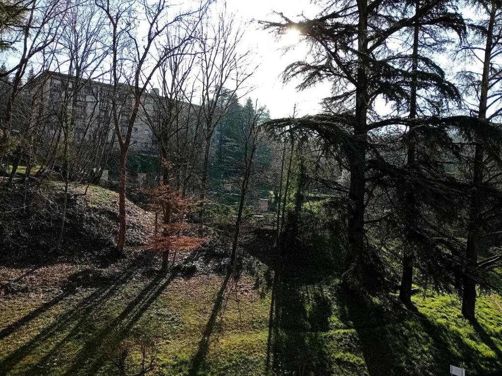 Residence Albion - Logement au calme dans la verdure ! MAE-7584 - 4