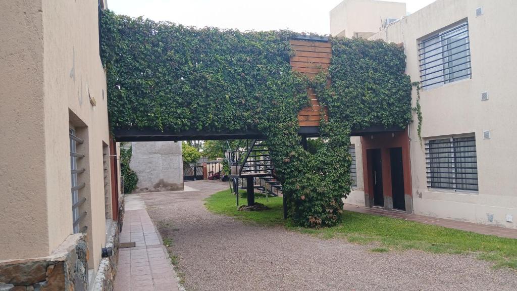 Departamento Alem - 2