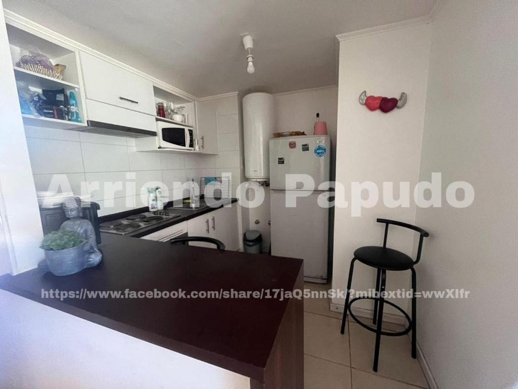 Departameto en papudo - 5
