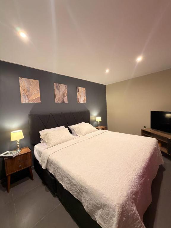 Huacachina House King Bed Room with Air Conditioning - 1