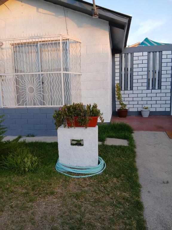 Casa turistas Pinamarga - 5