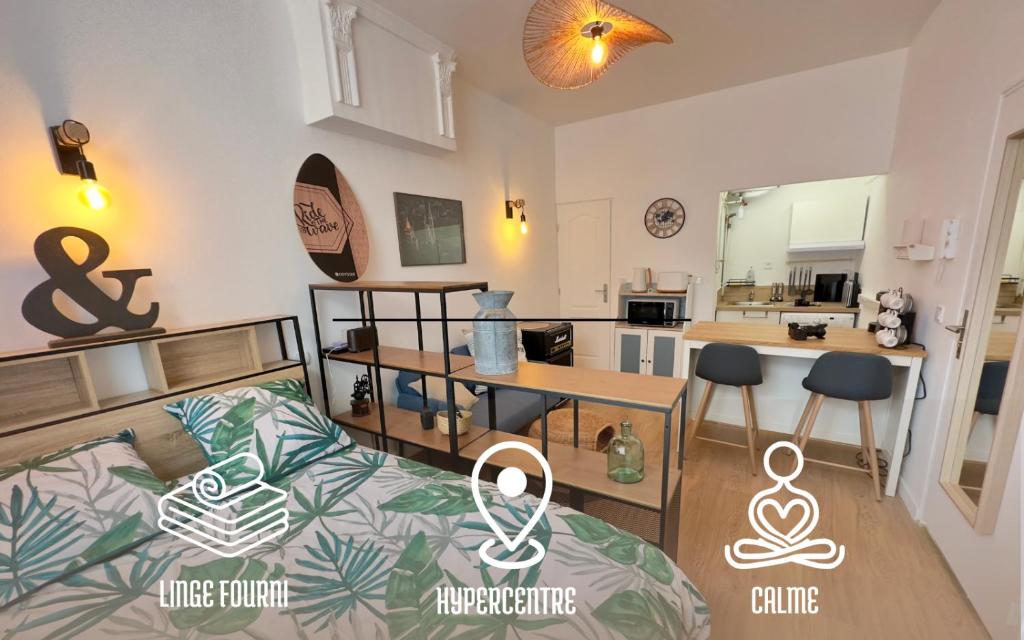 L’Albizia- Centre -TV WIFI-Cozy - 1