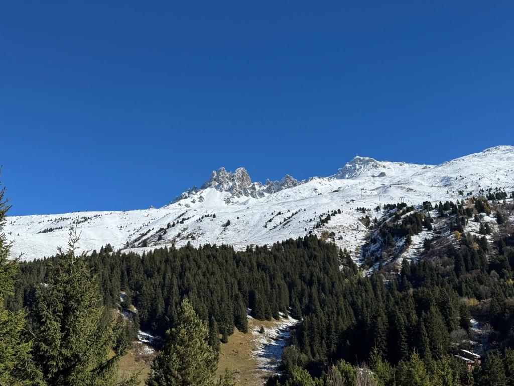 Séjour été - Appartement 4 pièces 6 personnes avec terrasse 50 m2 pour un séjour en famille avec vue exceptionnelle sur Meribel - 3