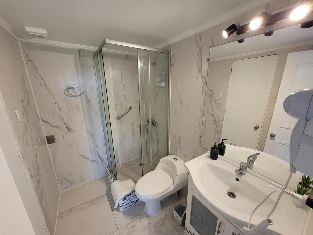 01 Cozy Apart KING bed, parking, Providencia - 3