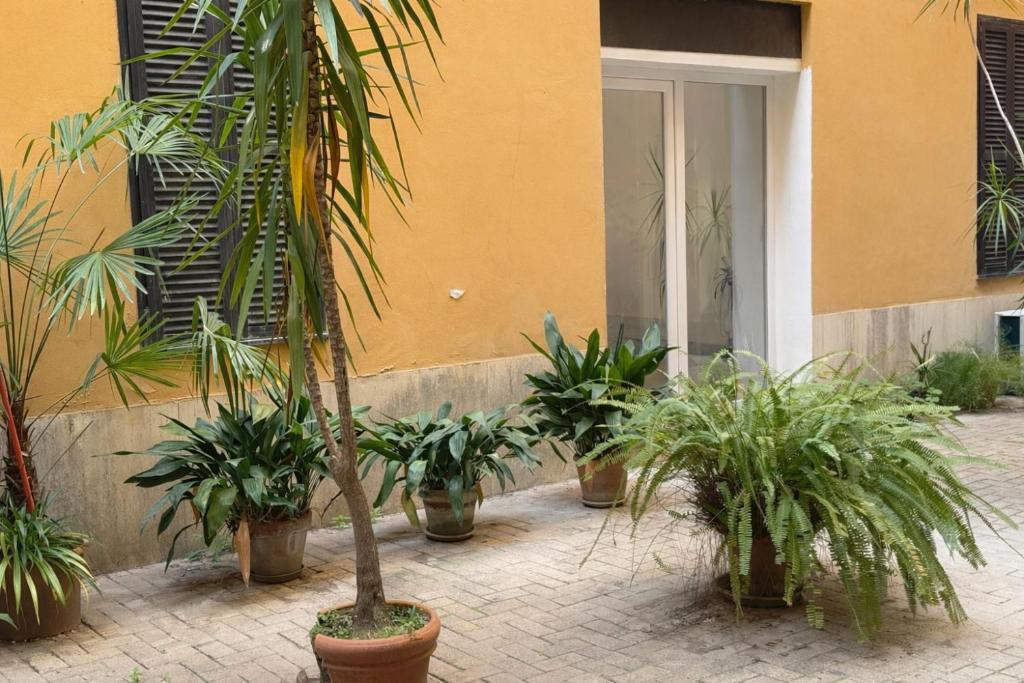 Trastevere luxury suites - 2