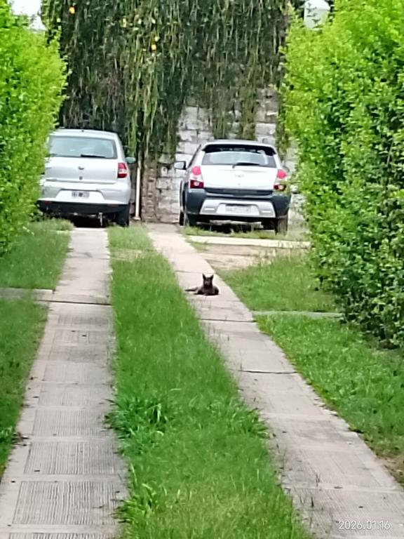 Tu hogar en Concordia - 3