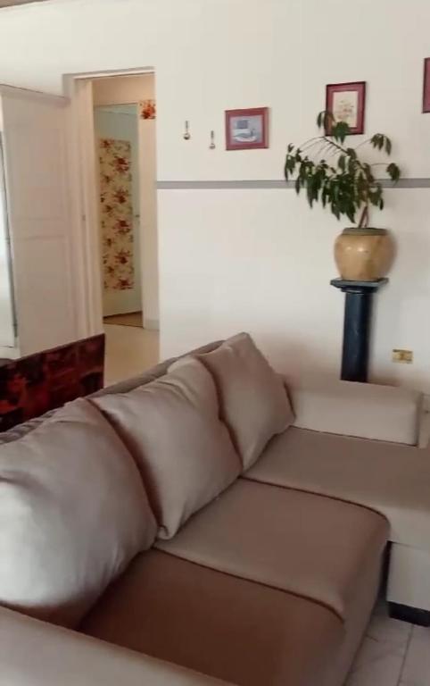 casa alvarez - 2