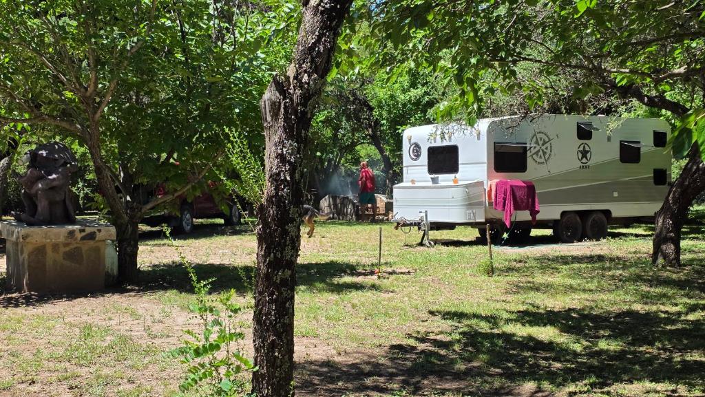 Mycelium Glamping - 2