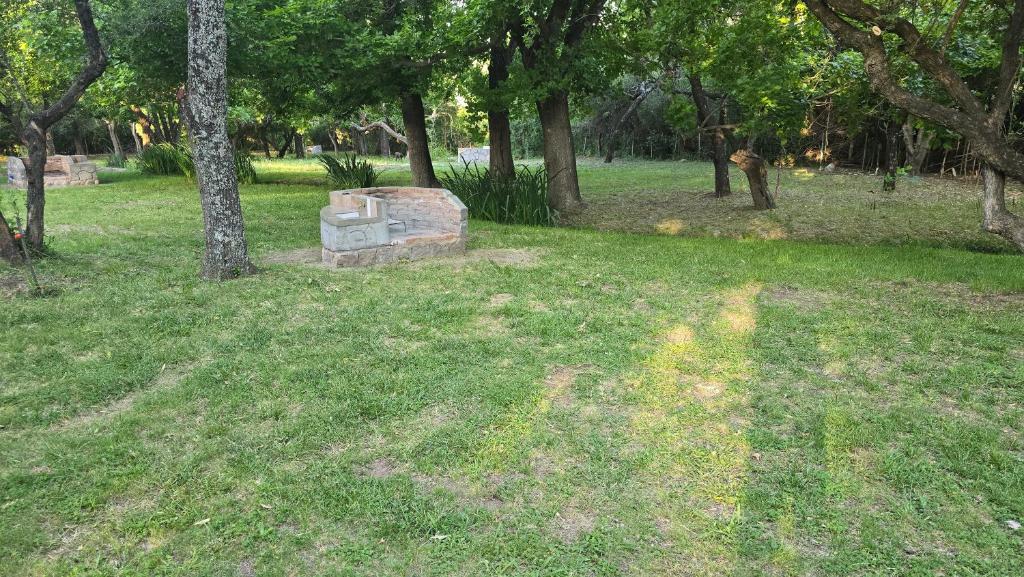 Mycelium Glamping - 3