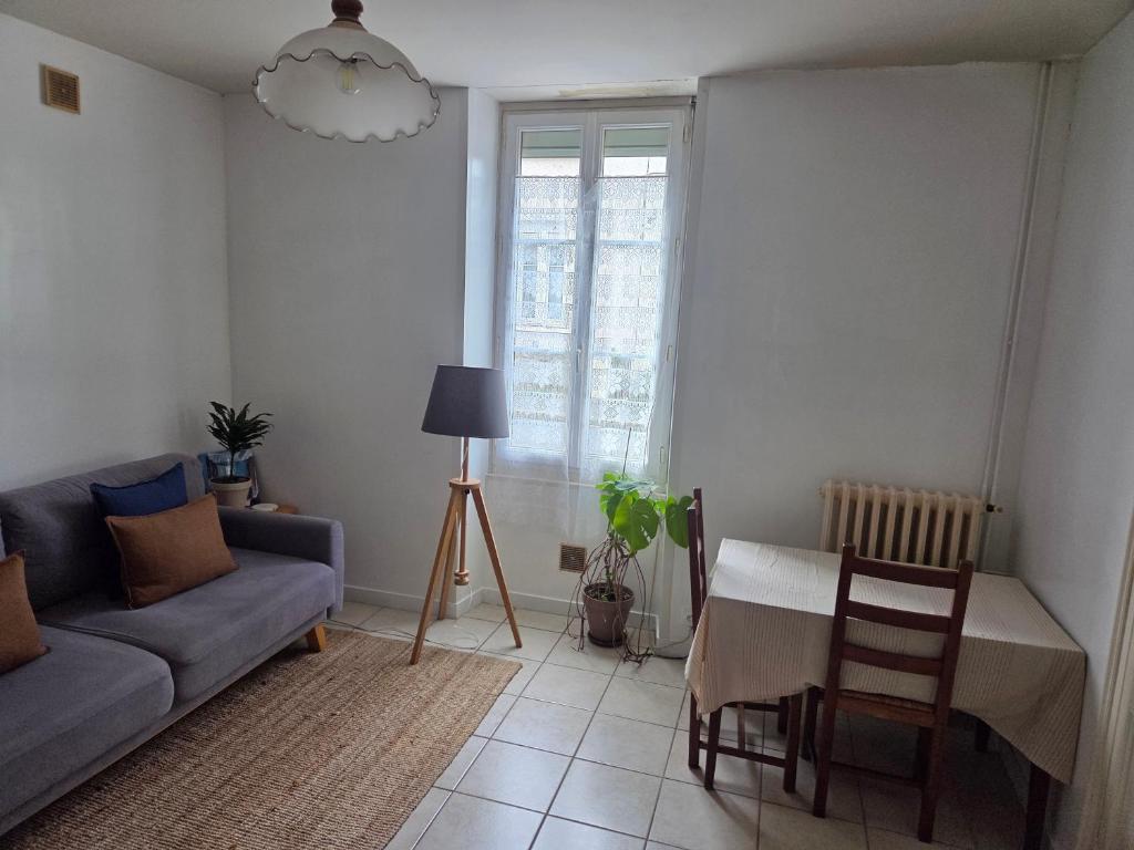 1 bedroom apartment near town centre and CHU - 3